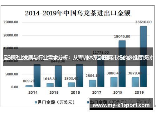 足球职业发展与行业需求分析：从青训体系到国际市场的多维度探讨