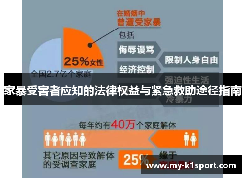 家暴受害者应知的法律权益与紧急救助途径指南