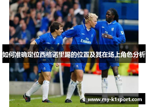 如何准确定位西格诺里踢的位置及其在场上角色分析